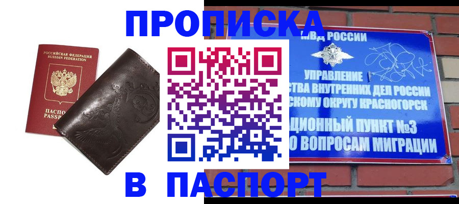 миграционный учет в Химках